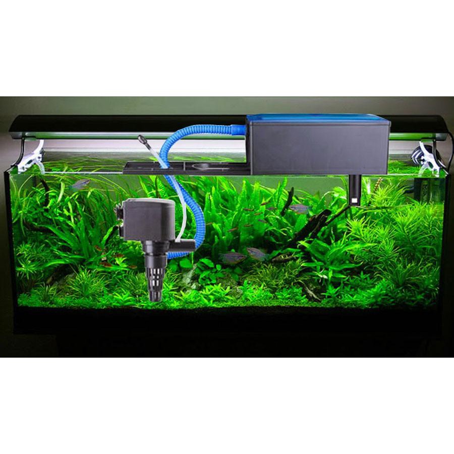 Máy lọc nước bể cá cảnh RS 801 + 1 miếng bông lọc nước bể cá