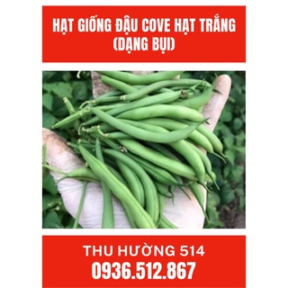 Hạt Giống Đậu Cove Hạt Trắng (Dạng Bụi)-Phú Nông (10G)