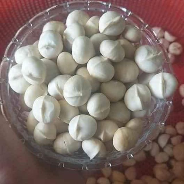 Nhân mắc ca sấy daklak đặc biệt hạt tròn đều