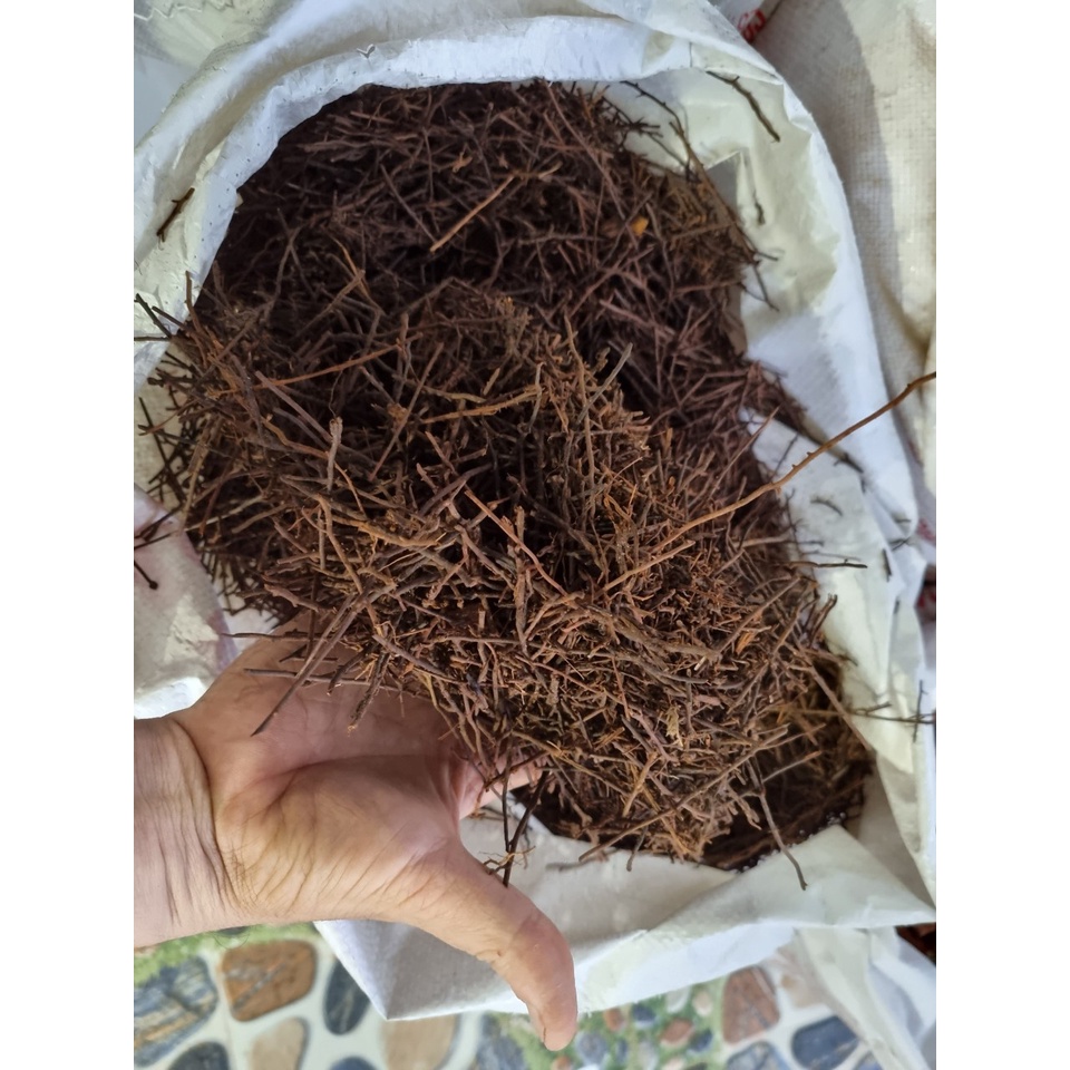 Một bao Giá thể dớn cọng chuyên dùng rải bề mặt giữ ẩm cho cây lan phát triển tốt bì  1KG