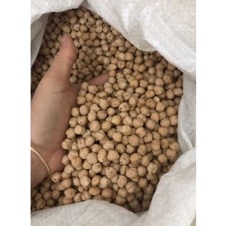 Hạt đậu gà Mỹ 500g | BigBuy360 - bigbuy360.vn