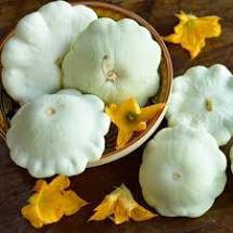 Hạt Giống Bí Ngòi Đĩa Bay Trắng (Nhập Nguyên Gói Đài Loan)