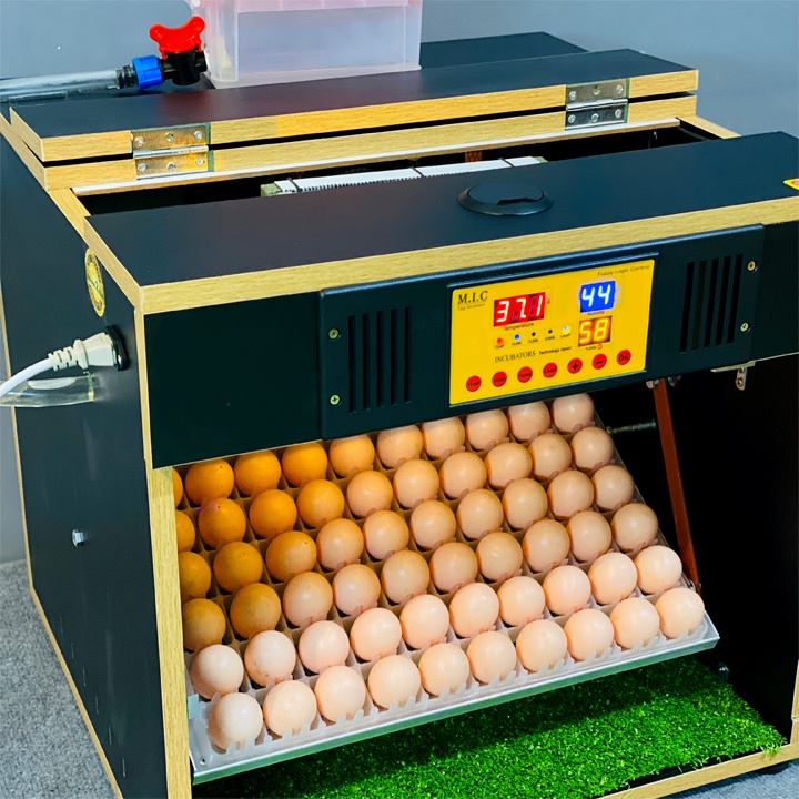 Máy ấp trứng Mic 100 bản cao cấp 2022 Phun Sương, Diệt Khuẩn