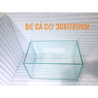 BỂ CÁ MINI CỠ 30*17*17cm