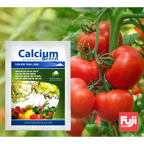 Phân bón hữu cơ Canxi Bo Fuji  25g