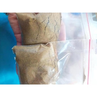 50-100g Celery seed/ Hạt cần tây