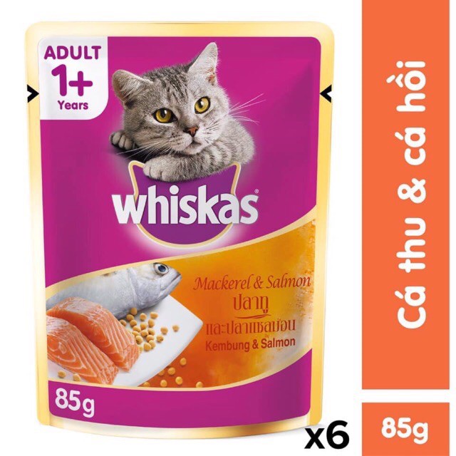 SỐT WHISKAS JUNIOR CHO MÈO CON VỊ CÁ NGỪ