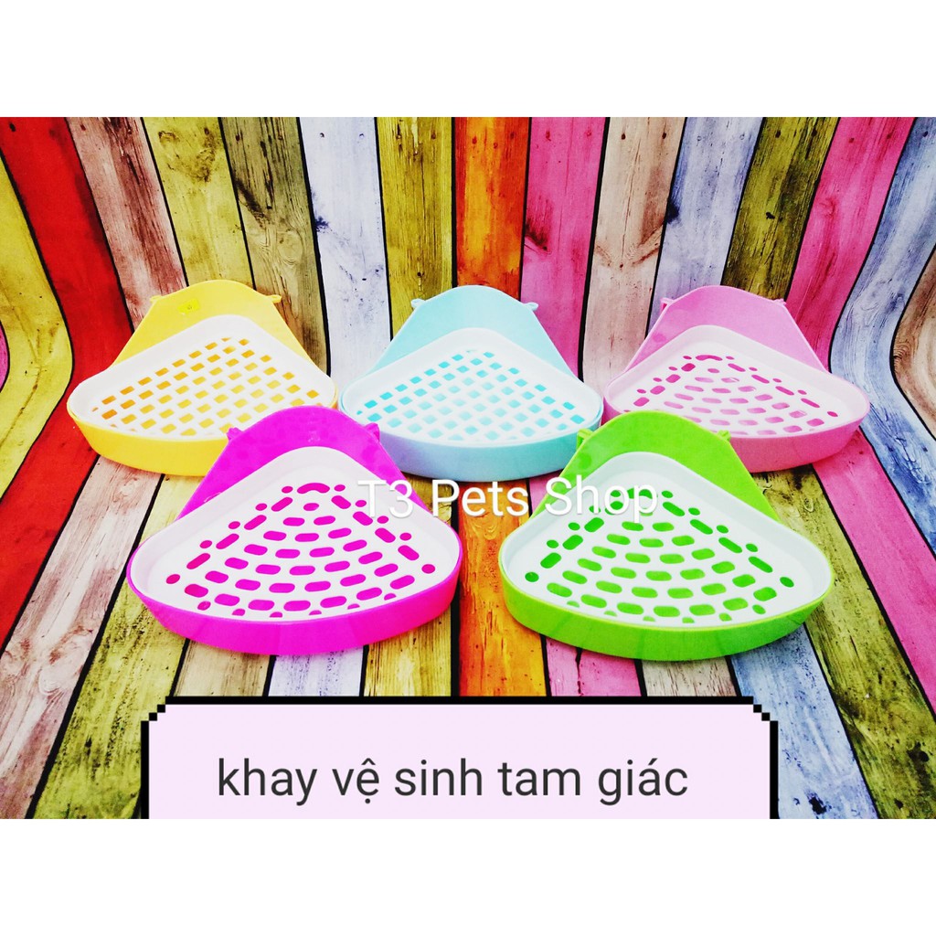 khay vệ sinh tam giác nhỏ dành cho thỏ và gunea pig baby