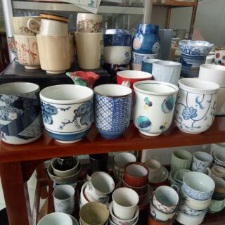 chậu trồng sen đá Nau
