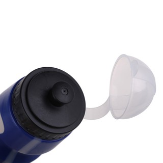 Armani Bình Nước Thể Thao 650ML