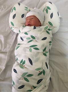 Gối lõm cao cấp thương hiệu Muslin tree