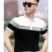 Áo Thun POLO Nam Tay Ngắn Thêu Logo AREMI Cao Cấp Thoáng Mát Co Dãn Tốt ARPL05