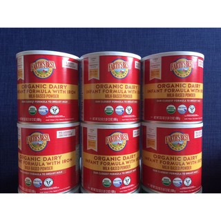 Sữa Earth’s Best Organic Dairy Infant 595g