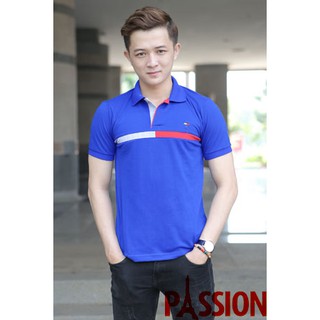 Áo thun cổ bẻ Tom Phối Sọc nam