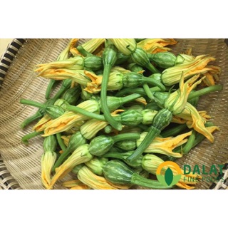 Hạt giống bí đỏ ăn bông 10 hạt