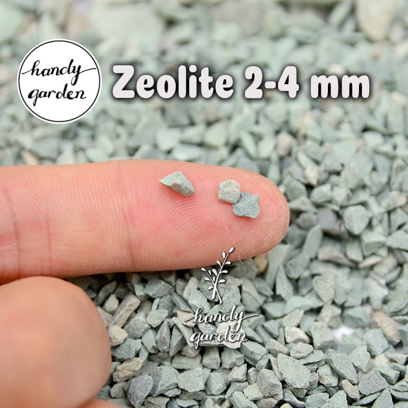 Đá khoáng ZEOLITE Rải mặt chậu sen đá kiểng lá, lọc nước sạch bụi vụn trộn đất trồng giữ dinh dưỡng | Handy Garden