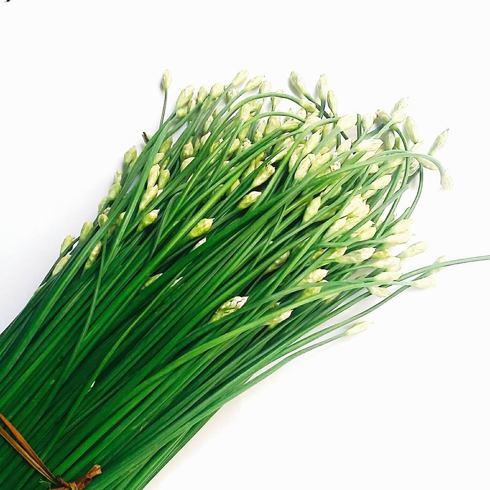 HẠT GIỐNG HẸ ĂN BÔNG - GÓI 1 GRAM