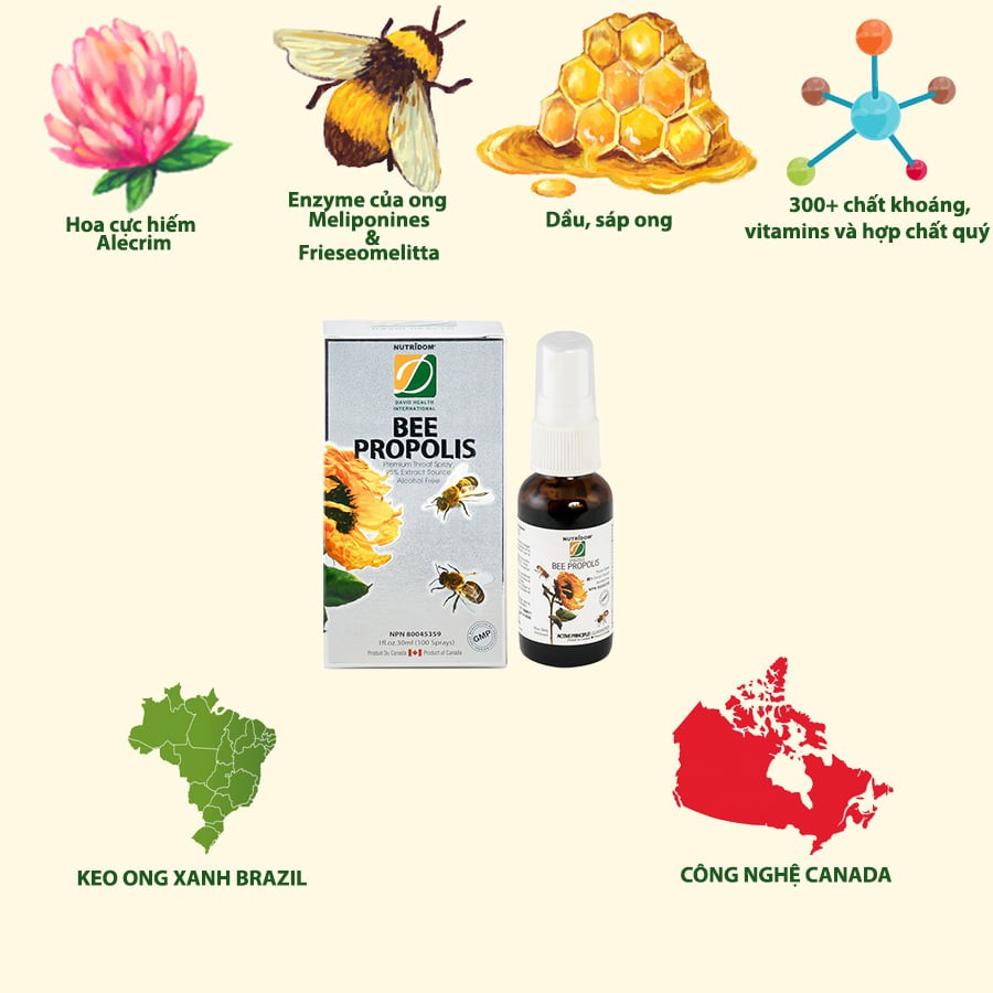 Xịt viêm họng Keo ong Canada 95%