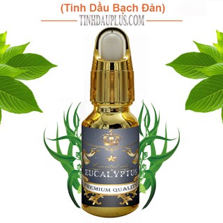 Tinh dầu bạch đàn plus 20ml – Eucalyptus EO nguyên chất thiên nhiên Ấn Độ – Thơm mát, tập trung