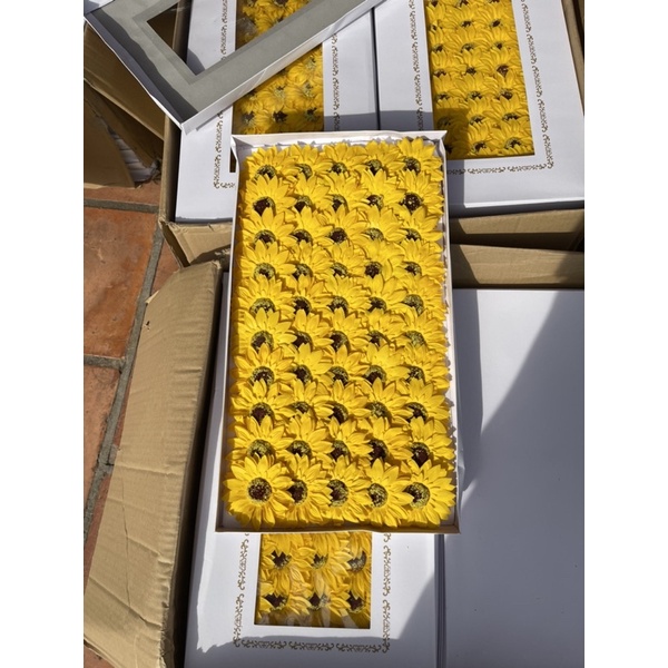 hoa hướng dương sáp 1 hộp 50 bông ( hoa cúc sáp)
