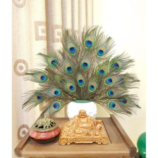 [Xả sốc] Lông công phong thủy 20_30cm mắt lớn(mua tối thiểu 10c)