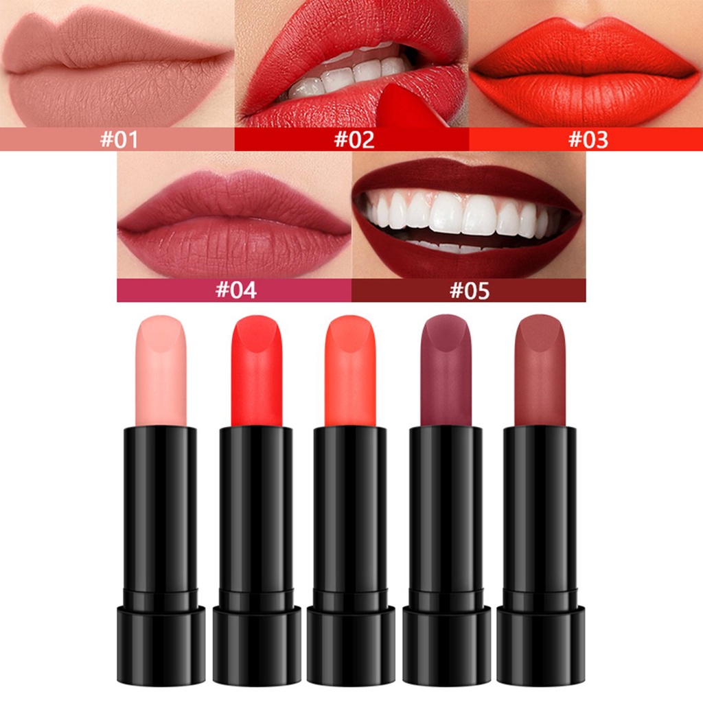 Practical Makeup Set For Beginners Girls Light All-in-one Multi-functional | BigBuy360 - bigbuy360.vn