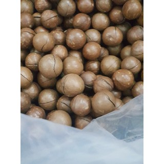 Hạt macca úc
