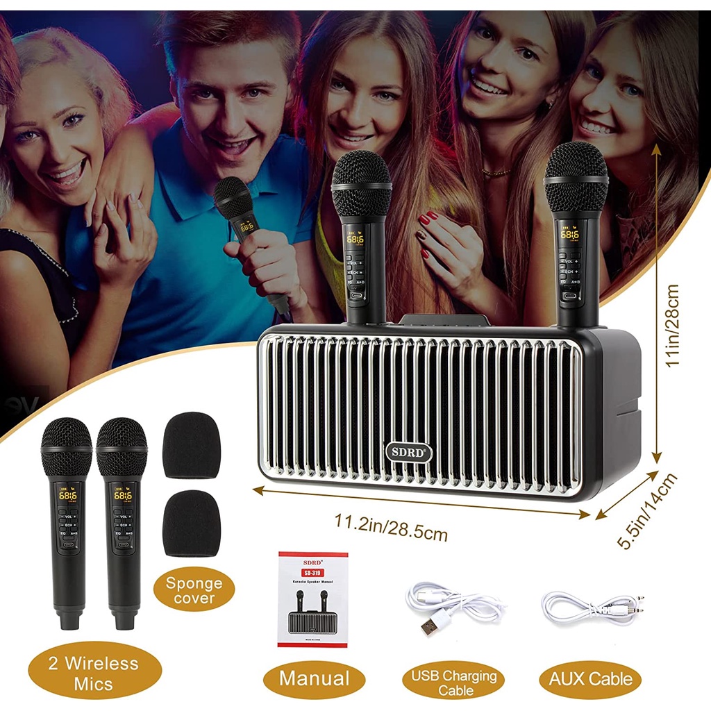 Loa Karaoke SDRD SD-319 Pro Bluetooth