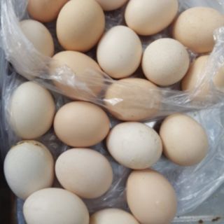 Bánh thuẩn trứng gà ta