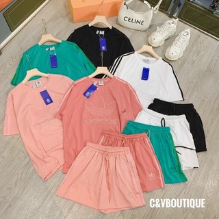 Bộ ctoon adidas thêu