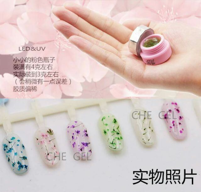 Gel hoa khô ẩn phụ kiện độc đáo đẹp lạ giúp trang trí móng xinh tuyệt vời. 6 màu cơ bản cute giúp thợ