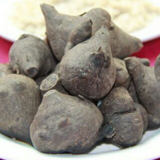 Củ ấu tẩu đặc sản hà giang 1kg