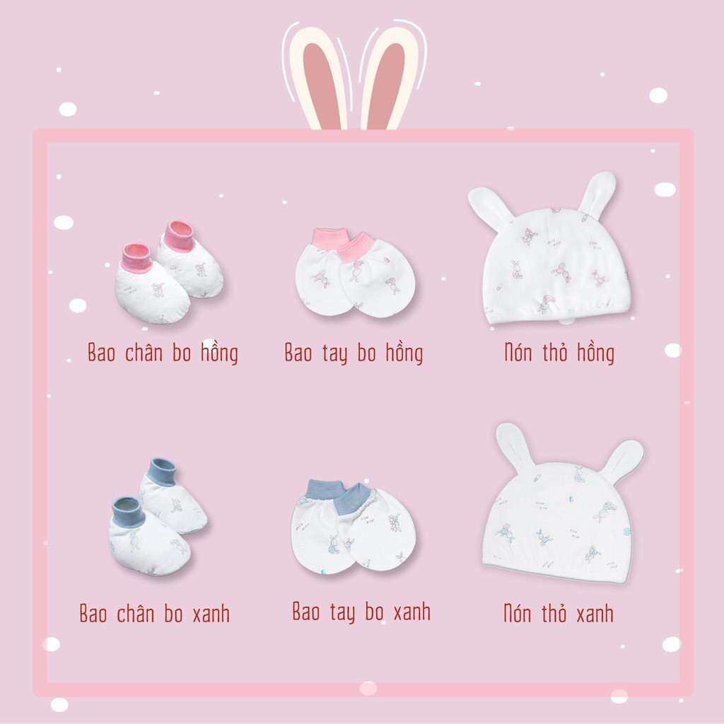 Bao chân Mio thỏ