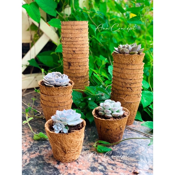 Combo 20 Chậu xơ dừa tròn mini ANN001 - Coir pot