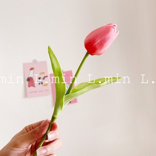 Hoa Tulip decor loại 1 (hoa màu pastel) L.min