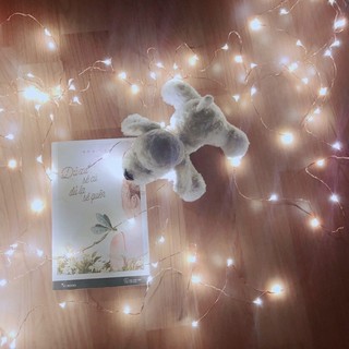 Dây đèn đom đóm ( fairylight )