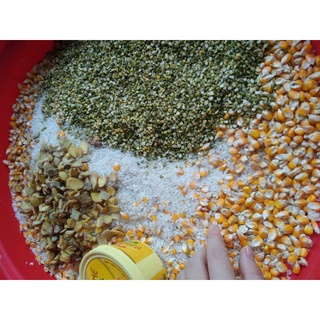 bánh bỏng ngô 🌽