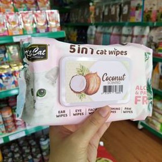 Khăn giấy ướt cho mèo KitCat