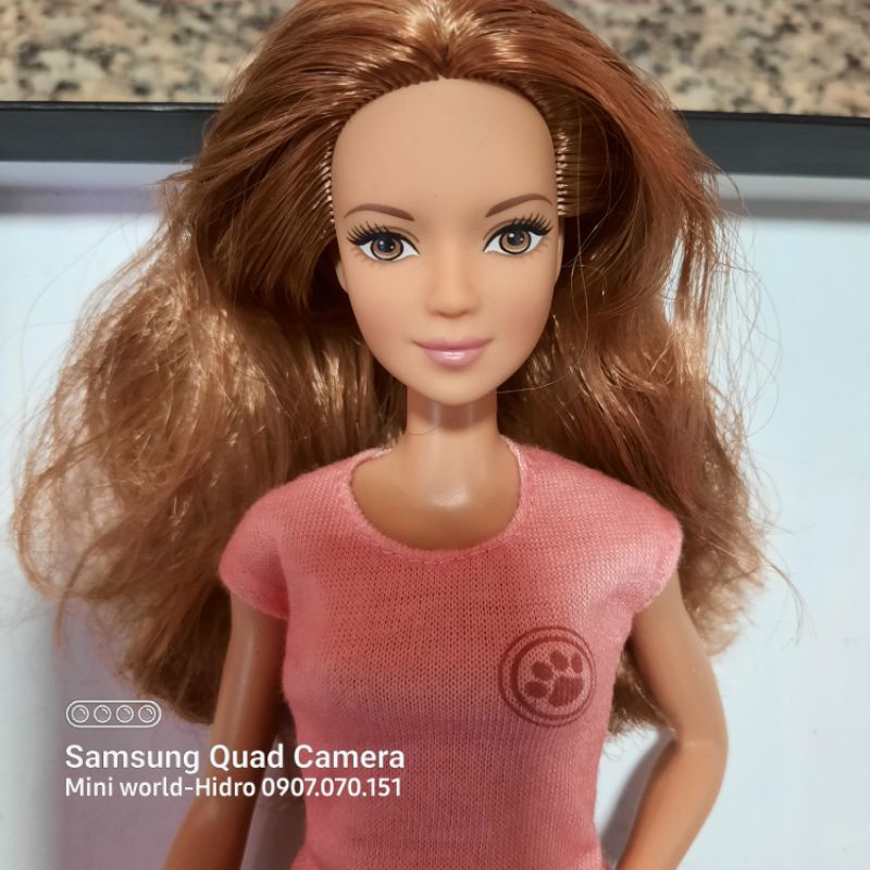 [Nhiều mẫu] Búp bê Barbie fashionistas chính hãng kèm quần áo giày như hình like new