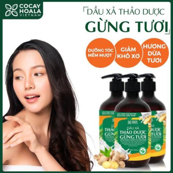 Dầu gội thảo dược gừng dừa hữu cơ Cocayhoala dành cho mẹ bầu thiên nhiên an toàn lành tính dung tích 440g/chai