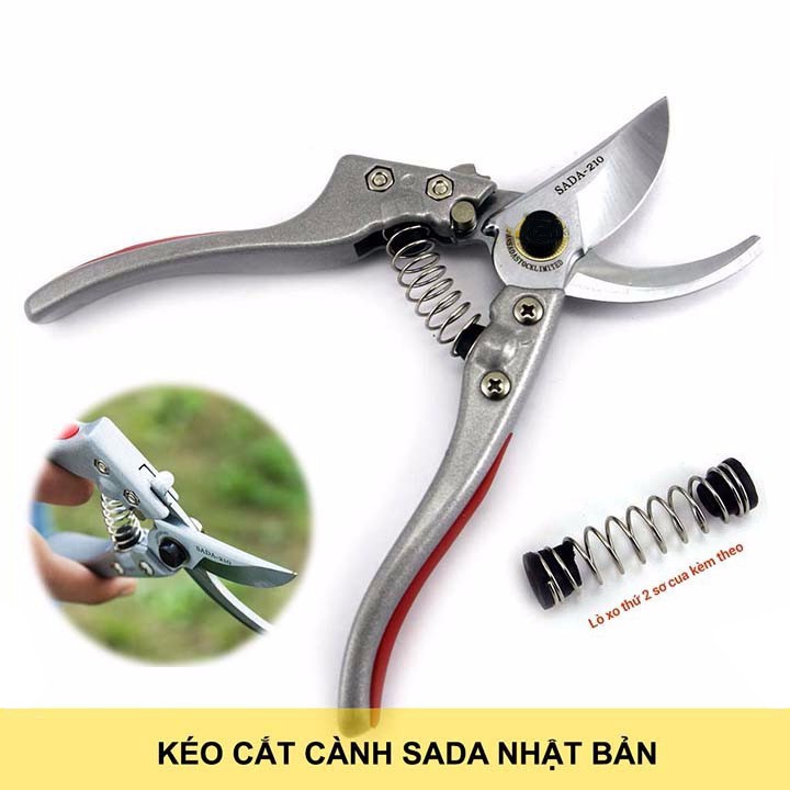 Kéo cắt cành cây SADA 210mm Nhật Bản - Kéo cắt cành sắc vĩnh viễn Nhật SADA-210