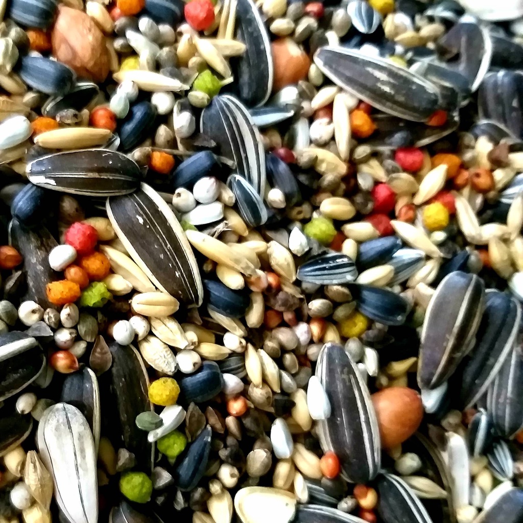 HẠT TRỘN CHO VẸT SUN, XÍCH, XÁM CHÂU PHI...gói 1kg