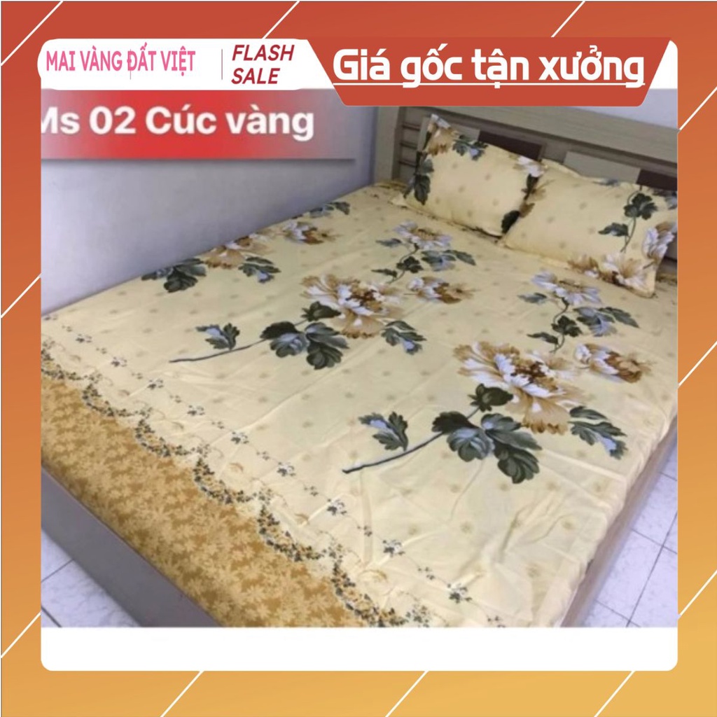 Bộ ga gối poly hình hoa cúc vàng 1m6