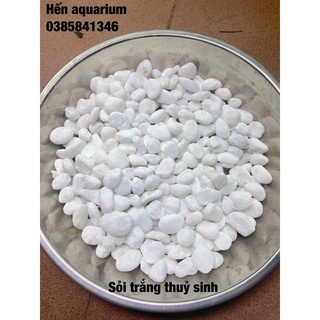 Sỏi trắng trang trí bể cá , chậu cây ,tiểu cảnh túi 100gr