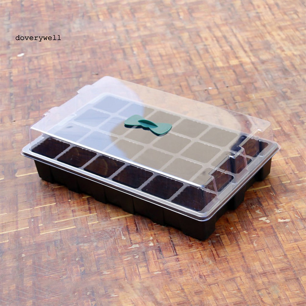 Khay gieo hạt giống 24 lỗ nhỏ gọn tiện lợi