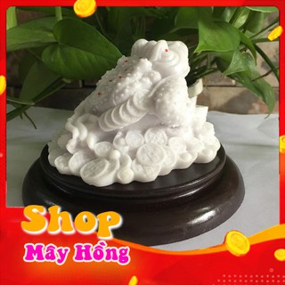 Thiềm thừ phong thủy màu trắng có đế cao 10.5 cm x rộng 14.5 cm