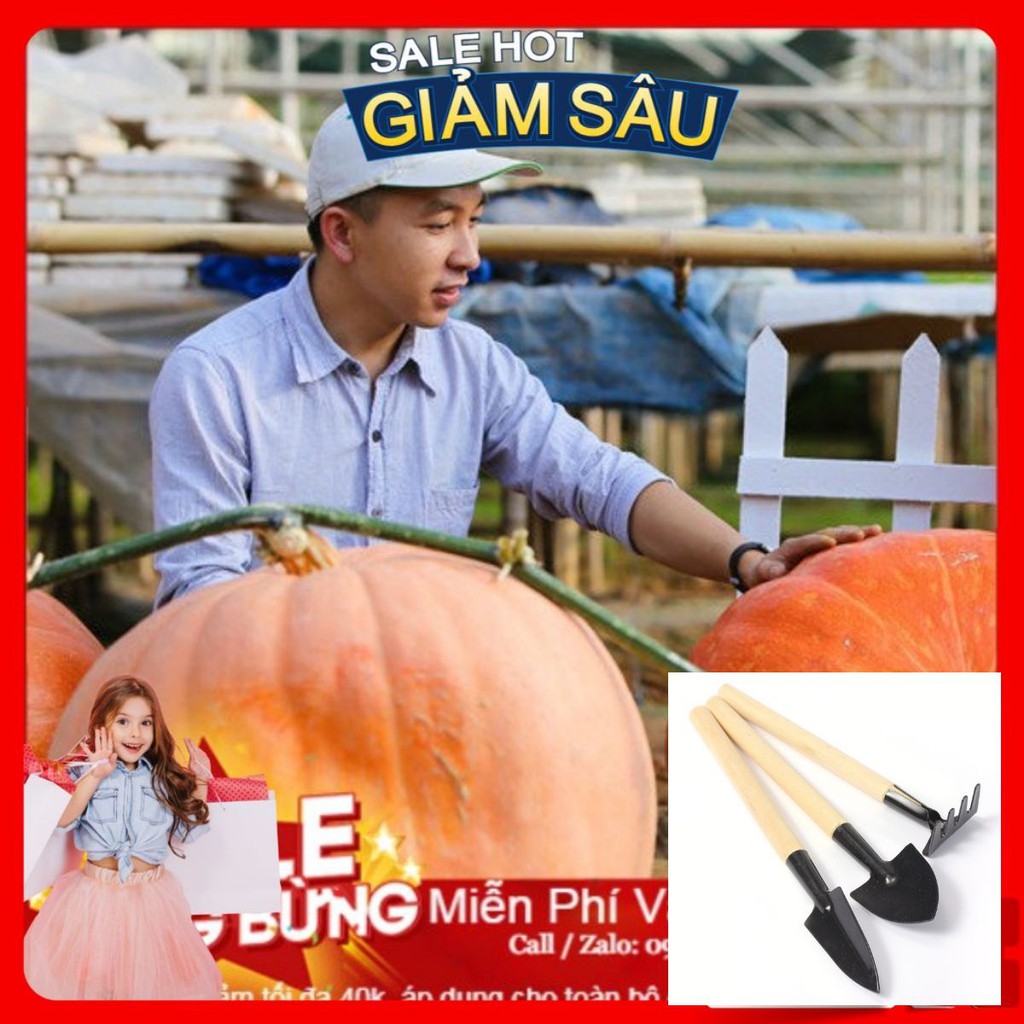 Hạt Giống Bí Ngô Khổng Lồ - 4 Hạt / Gói ( Hàng Loại 1 ) - Tặng Kèm Bộ Dụng Cụ Trồng Cây Mini