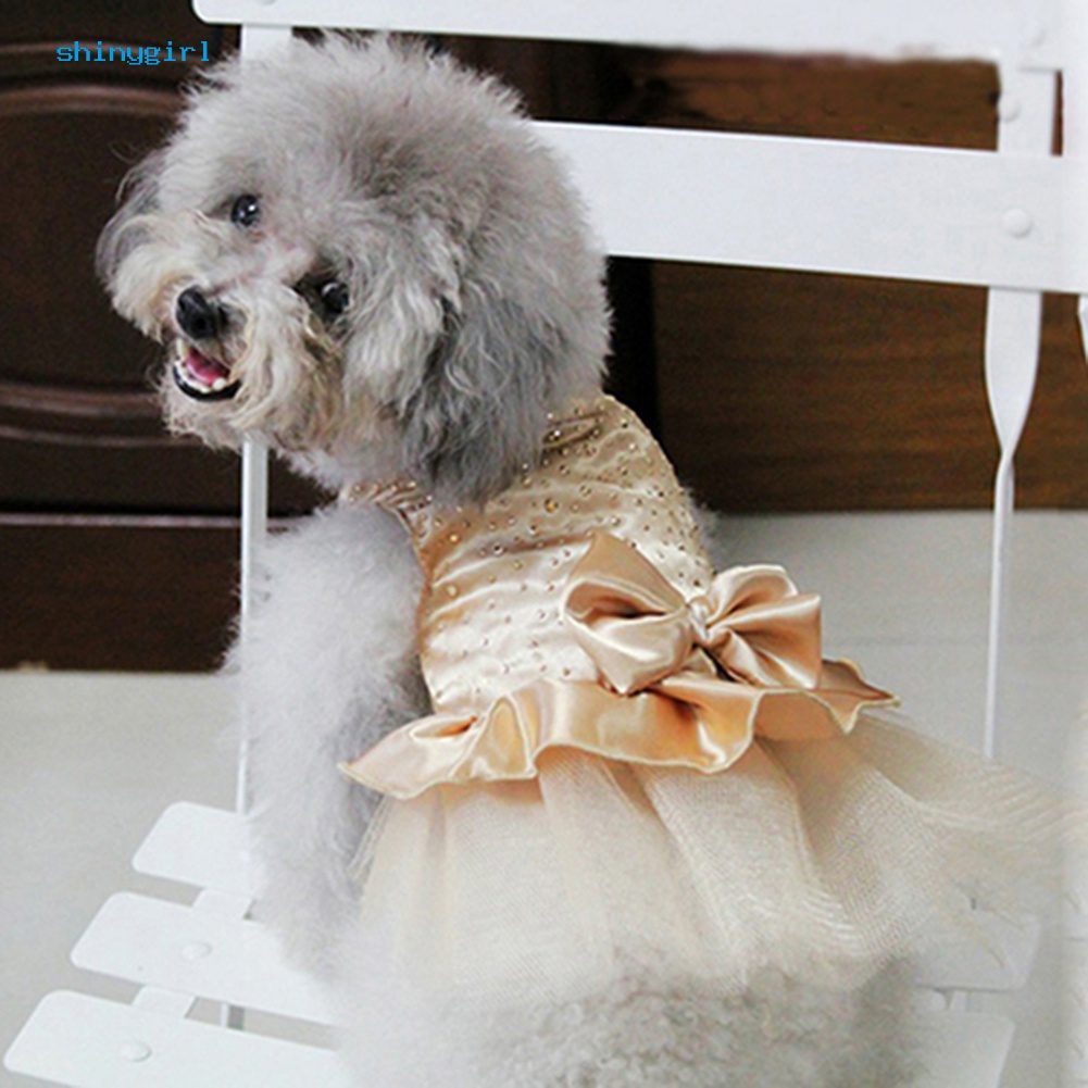 Đầm xòe công chúa xinh xắn đáng yêu dành cho chó cưng