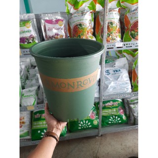 Chậu Monrovia