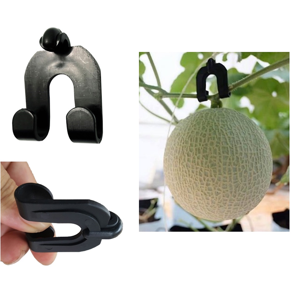 Móc treo trái dưa lưới, dưa lê, treo quả dưa chuyên dụng dễ sử dụng